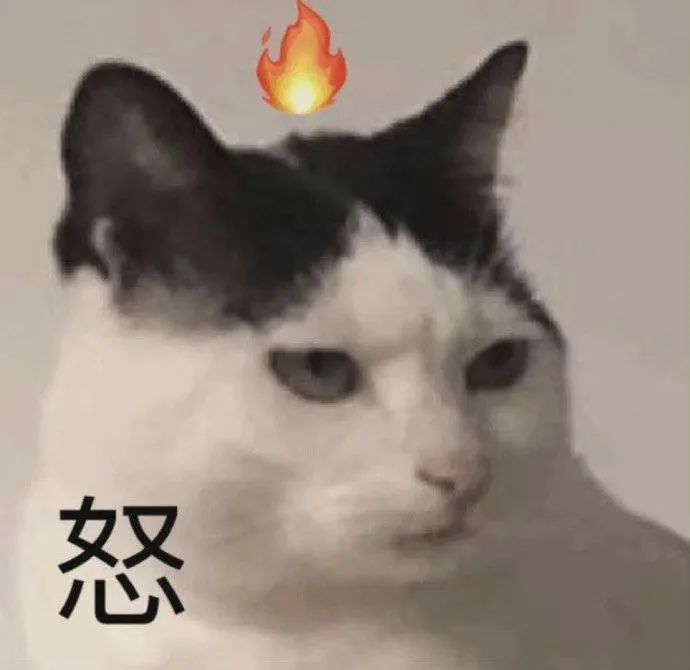 字母圈“虐恋”的前提是“恋” 字母圈“虐恋”的前提是“恋”