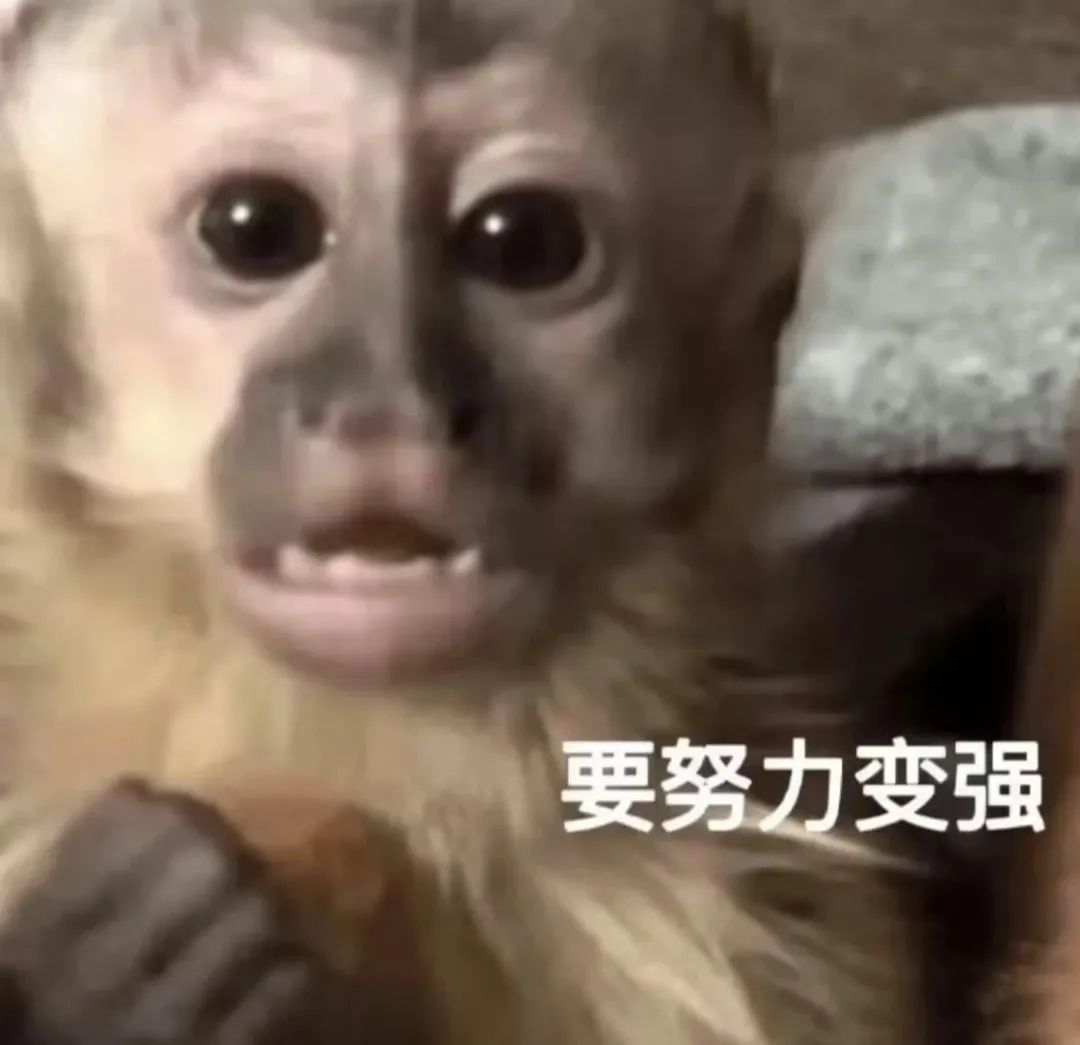 字母圈主人的命令,我后悔当时没拒绝 字母圈主人的命令,我后悔当时没拒绝