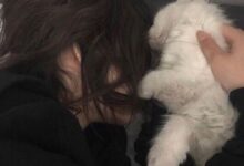 字母圈内s的一些迷惑行为-瘾欢