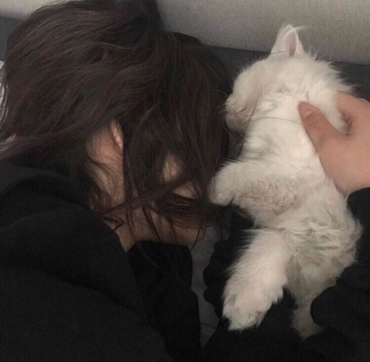 字母圈内s的一些迷惑行为 字母圈内s的一些迷惑行为