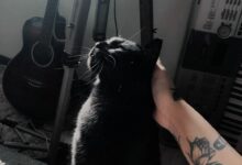 字母圈“主人,婚姻是坟墓啊……”-瘾欢