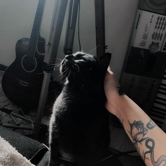 字母圈“主人,婚姻是坟墓啊……” 字母圈“主人,婚姻是坟墓啊……”