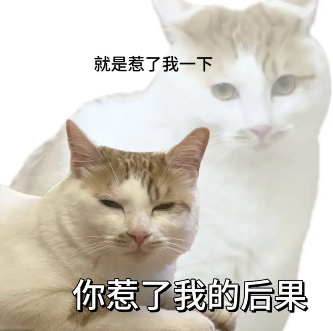 字母圈“考试太紧张,我却爽high了。。。” 字母圈“考试太紧张,我却爽high了。。。”