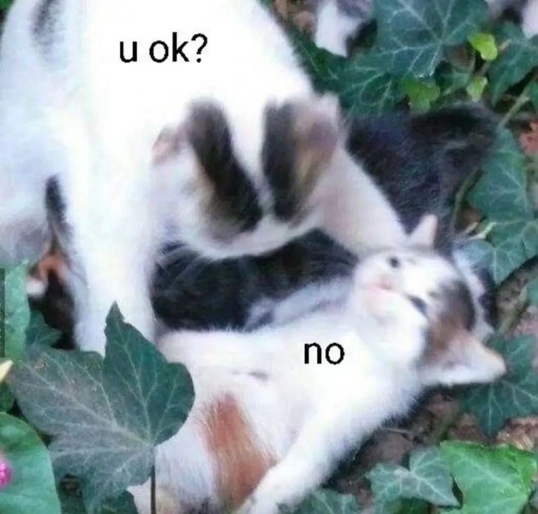 字母圈“虐恋”的前提是“恋” 字母圈“虐恋”的前提是“恋”