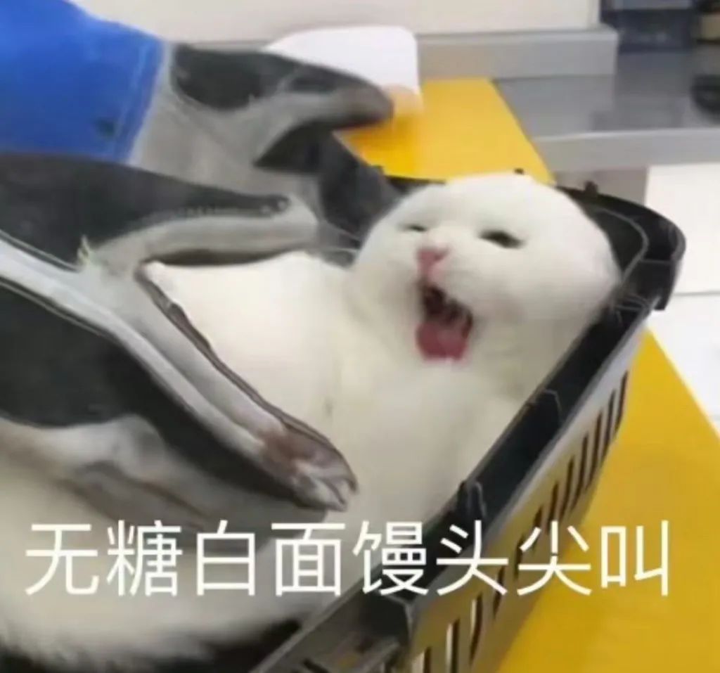 字母圈“虐恋”的前提是“恋” 字母圈“虐恋”的前提是“恋”