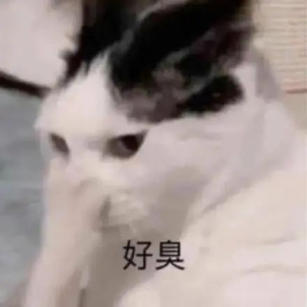 字母圈主人的命令,我后悔当时没拒绝 字母圈主人的命令,我后悔当时没拒绝