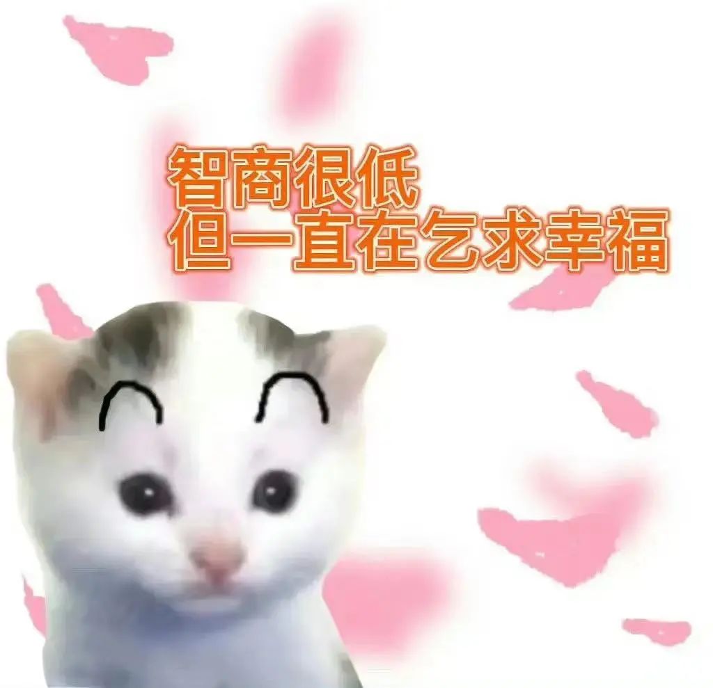 字母圈“考试太紧张,我却爽high了。。。” 字母圈“考试太紧张,我却爽high了。。。”