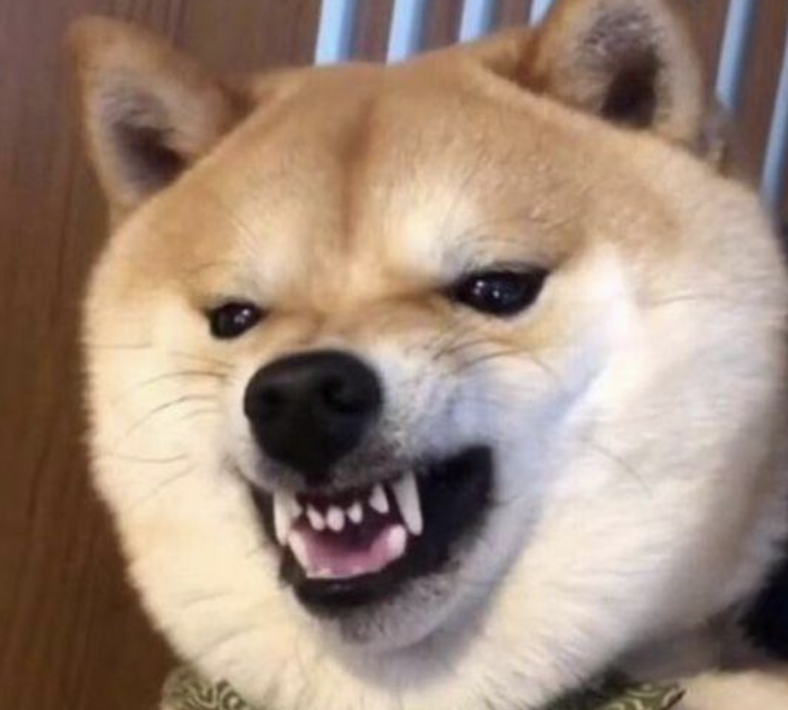 字母圈真 · 小狗日记