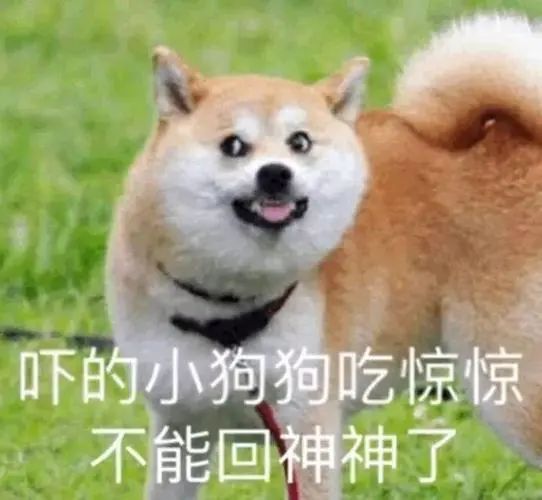 字母圈主人的命令,我后悔当时没拒绝 字母圈主人的命令,我后悔当时没拒绝