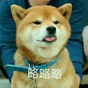 字母圈brat调皮的手段原来这么多 字母圈brat调皮的手段原来这么多