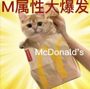 字母圈现在的play,B/D/S/M 四个字母已经不够用了! 字母圈现在的play,B/D/S/M 四个字母已经不够用了!