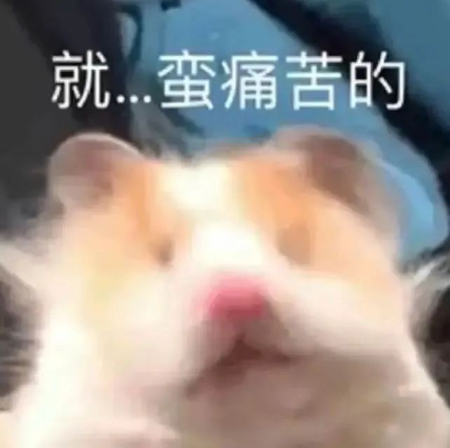 字母圈主人的命令,我后悔当时没拒绝 字母圈主人的命令,我后悔当时没拒绝