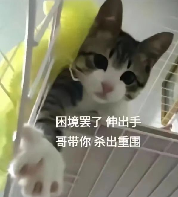 字母圈“考试太紧张,我却爽high了。。。” 字母圈“考试太紧张,我却爽high了。。。”