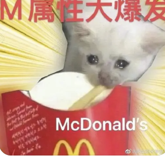 字母圈现在的play,B/D/S/M 四个字母已经不够用了! 字母圈现在的play,B/D/S/M 四个字母已经不够用了!