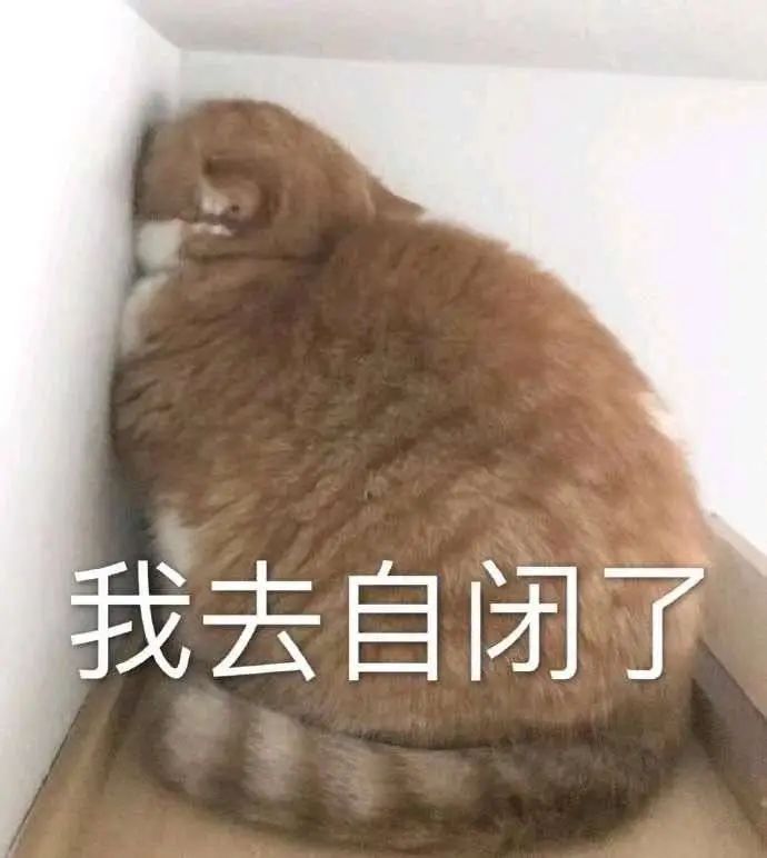 字母圈“虐恋”的前提是“恋” 字母圈“虐恋”的前提是“恋”