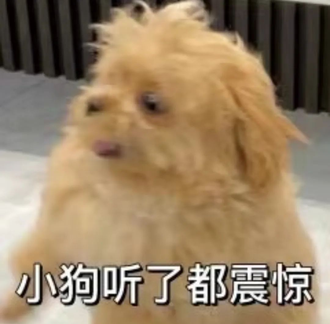 字母圈“考试太紧张,我却爽high了。。。” 字母圈“考试太紧张,我却爽high了。。。”