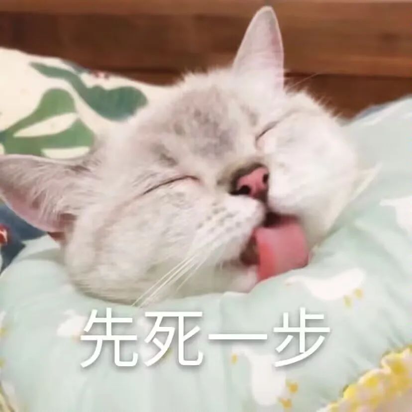 字母圈“考试太紧张,我却爽high了。。。” 字母圈“考试太紧张,我却爽high了。。。”