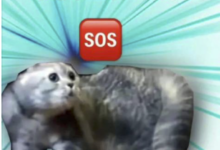 现在的play，B/D/S/M 四个字母已经不够用了！-瘾欢