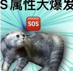 字母圈现在的play,B/D/S/M 四个字母已经不够用了! 字母圈现在的play,B/D/S/M 四个字母已经不够用了!