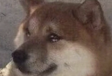 德国字母圈这次会抱的更紧-瘾欢