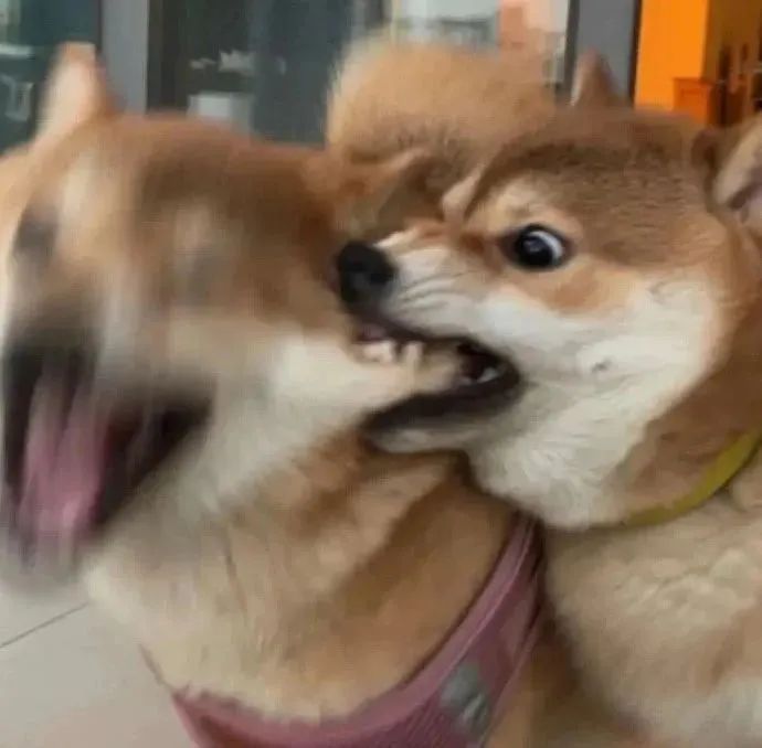 字母圈“让NTR爱好者喜欢纯爱”,算不算一种NTR? 字母圈“让NTR爱好者喜欢纯爱”,算不算一种NTR?