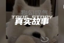 字母圈“死里逃生”后,记录一些pua时刻-瘾欢