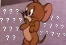 字母圈不是所有的brat都只会皮-瘾欢