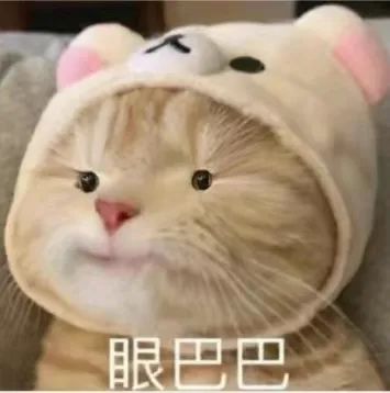 字母圈不是所有的brat都只会皮