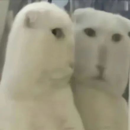 字母圈谁说S不能比brat还皮! 字母圈谁说S不能比brat还皮!