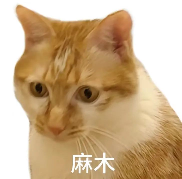 字母圈谁说S不能比brat还皮! 字母圈谁说S不能比brat还皮!