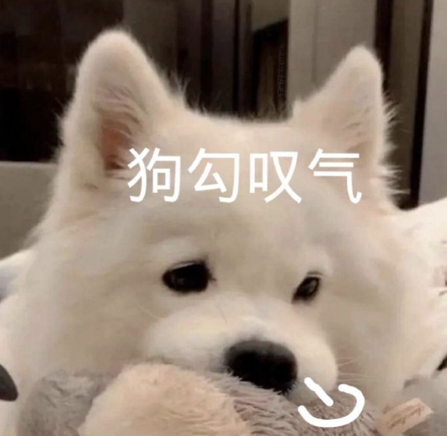 字母圈“死里逃生”后,记录一些pua时刻 字母圈“死里逃生”后,记录一些pua时刻