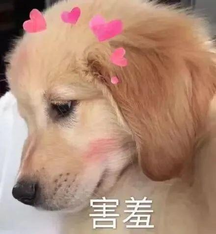 字母圈一周脑洞｜DDLG的爱意