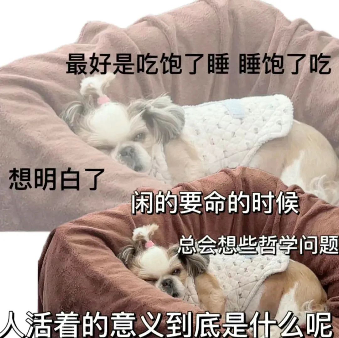 字母圈“让NTR爱好者喜欢纯爱”,算不算一种NTR? 字母圈“让NTR爱好者喜欢纯爱”,算不算一种NTR?