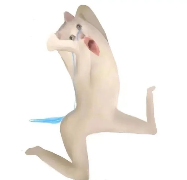 字母圈谁说S不能比brat还皮! 字母圈谁说S不能比brat还皮!