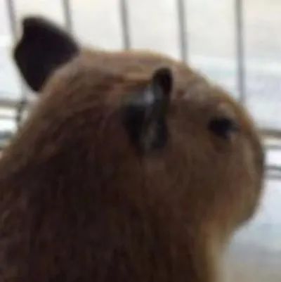 字母圈“男妈妈到底都是谁在谈啊!!!” 字母圈“男妈妈到底都是谁在谈啊!!!”