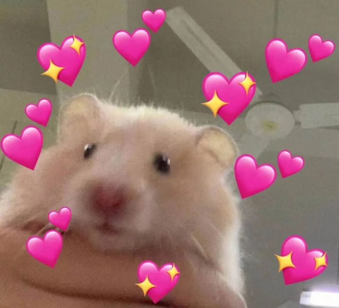 字母圈一周脑洞｜DDLG的爱意