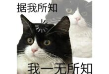 让NTR爱好者喜欢纯爱”,算不算一种NTR?-瘾欢