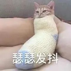 字母圈谁说S不能比brat还皮! 字母圈谁说S不能比brat还皮!