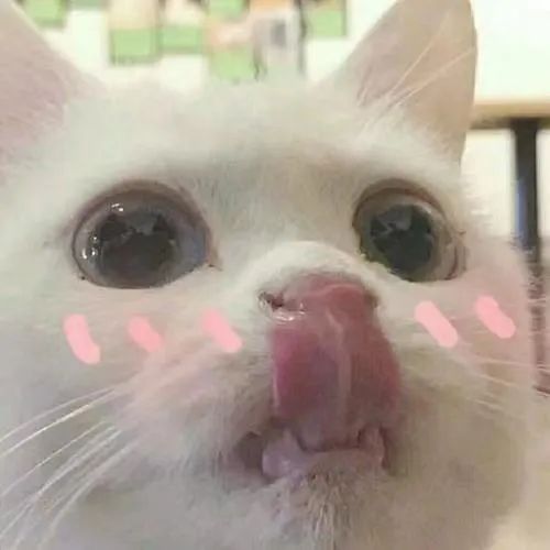 字母圈一周脑洞｜DDLG的爱意