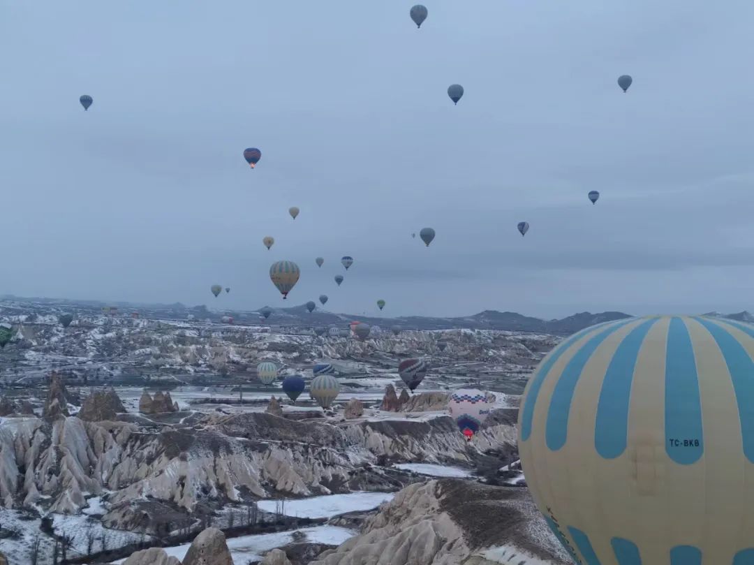 字母圈不是所有的brat都只会皮