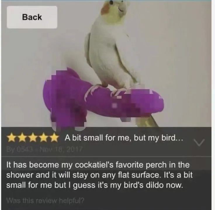 字母圈千万别让家长收拾字母人的房间! 字母圈千万别让家长收拾字母人的房间!