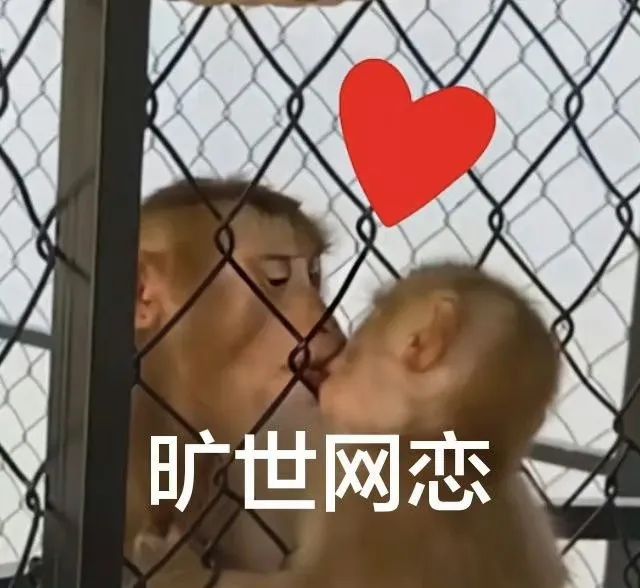 字母圈谁说S不能比brat还皮! 字母圈谁说S不能比brat还皮!