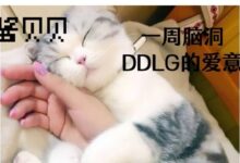 字母圈一周脑洞|DDLG的爱意-瘾欢