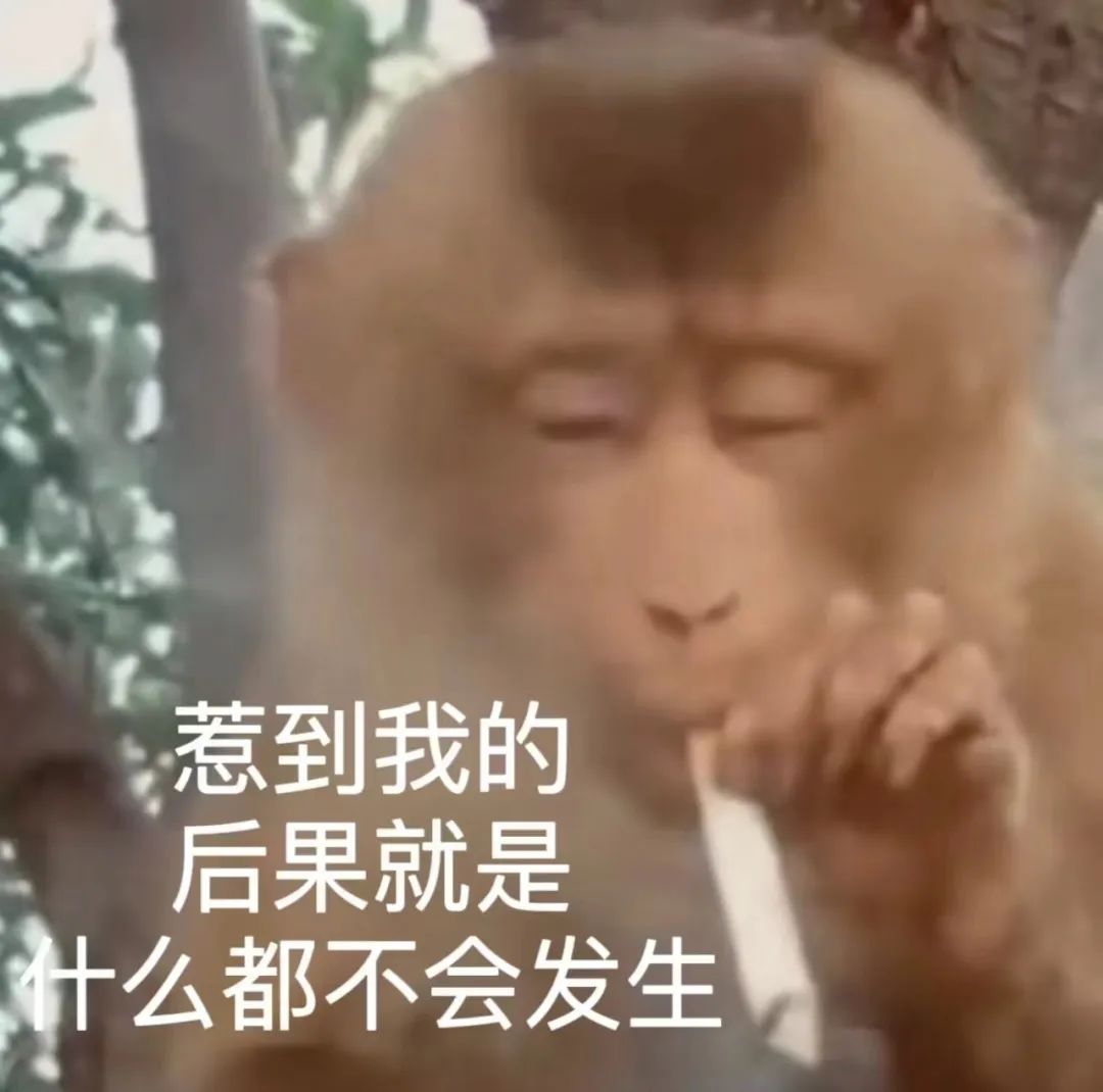 字母圈谁说S不能比brat还皮! 字母圈谁说S不能比brat还皮!