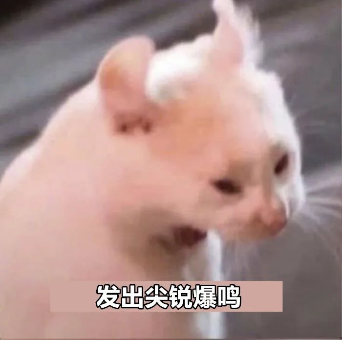 字母圈“男妈妈到底都是谁在谈啊!!!” 字母圈“男妈妈到底都是谁在谈啊!!!”