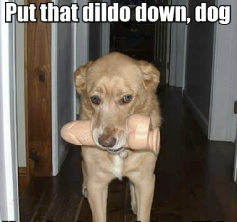 字母圈千万别让家长收拾字母人的房间! 字母圈千万别让家长收拾字母人的房间!