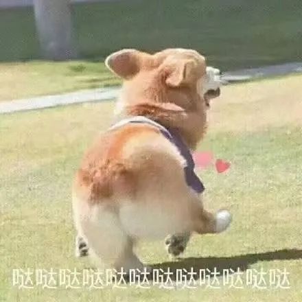 字母圈不是所有的brat都只会皮