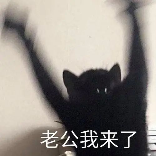 字母圈“男妈妈到底都是谁在谈啊!!!” 字母圈“男妈妈到底都是谁在谈啊!!!”