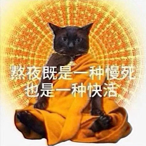 字母圈“让NTR爱好者喜欢纯爱”,算不算一种NTR? 字母圈“让NTR爱好者喜欢纯爱”,算不算一种NTR?