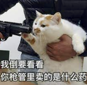 字母圈请律师写“男女私密合同”,也是你们play的一环吗? 字母圈请律师写“男女私密合同”,也是你们play的一环吗?